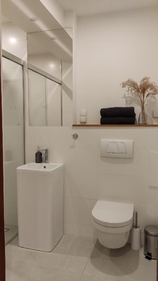 Apartamenty Ceglane Stary Toruń Kültér fotó